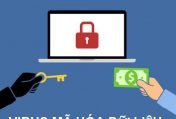 Dịch vụ cứu dữ liệu bị mã hóa do virus tống tiền chuộc tại Hà Nội